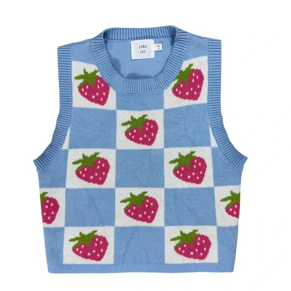 S Luna Ivy Strawberry Checkered Sweater Vest Preppy Kawaii Coquette Academia - Picture 1 of 4